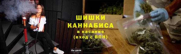 PSILOCYBIN Бородино