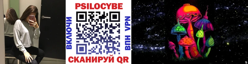 где найти   Чудово  hydra как войти  Галлюциногенные грибы мицелий 