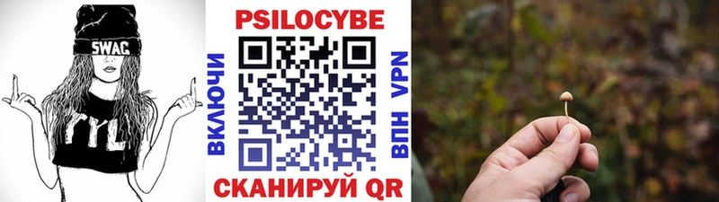Псилоцибиновые грибы прущие грибы Чудово